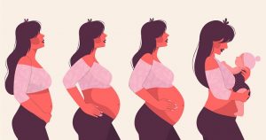 Idade gestacional: pesquisa mostra como cada dia na barriga impacta no desenvolvimento do bebê