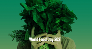“As nossas ações são o nosso futuro”: 16/10 – Dia Mundial da Alimentação