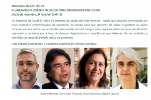 Planejando o sistema de saúde para prioridades pós-COVID é tema de webinário da Academia Brasileira de Ciências