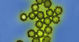 H3N2: novo vírus influenza em circulação no país