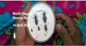 14/4 – Dia Mundial da Doença de Chagas: Encontrar e relatar todos os casos para derrotar a Doença de Chagas