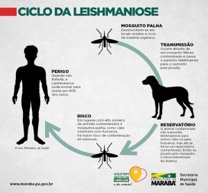 08 a 15/8 – Semana Nacional de Controle e Combate à Leishmaniose