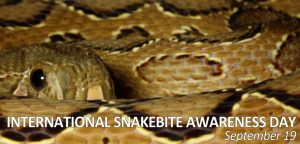 19/9 – Dia Internacional de Conscientização sobre Picadas de Cobra