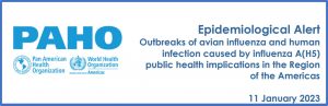 OPAS publica atualização epidemiológica sobre surtos de influenza aviária e implicações para a saúde pública na Região das Américas