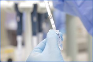 Pesquisa avança no desenvolvimento de terapia para febre amarela