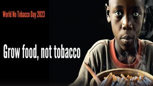 “Cultive comida, não tabaco!” : 31/5 – Dia Mundial Sem Tabaco 
