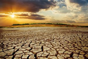 Nova emergência global de saúde pode ser declarada devido à crise climática e ambiental