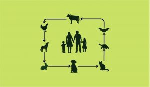 06/7 – Dia Mundial das Zoonoses