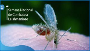 Semana Nacional de Controle e Combate à Leishmaniose : 10 a 17/8