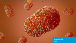 OPAS: Países das Américas devem fortalecer a vigilância do Mpox à luz da potencial propagação de uma nova variante detectada na região africana