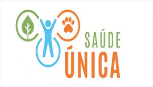 Cooperação em saúde: lançamento do comitê “Uma Só Saúde” marca nova era para a saúde pública no Brasil