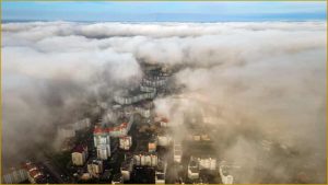 SBPC alerta para impactos ambientais e de saúde das queimadas no Brasil