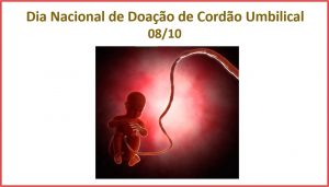 08/10 – Dia Nacional de Doação de Cordão Umbilical
