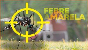 Ministério da Saúde emite alerta para o aumento de casos de febre amarela em São Paulo e em outros três estados