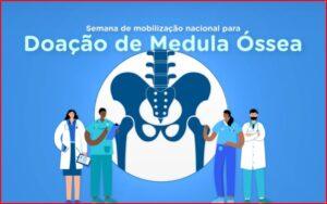 14 a 21/12 – Semana de Mobilização Nacional para Doação de Medula Óssea